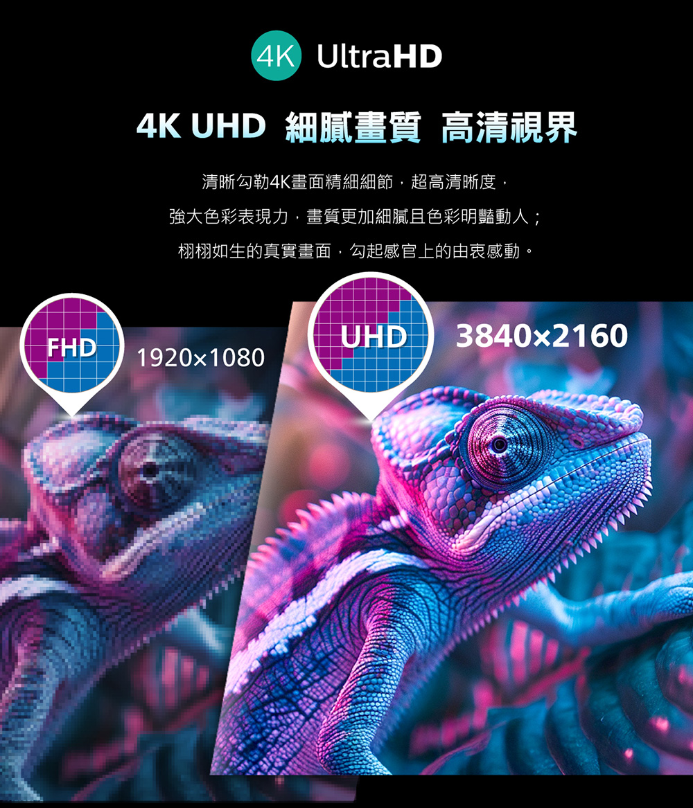 4K UHD 細膩畫質 高清視界 清晰勾勒4K畫面精細細節,超高清晰度, 強大色彩表現力,畫質更加細膩且色彩明豔動人 栩栩如生的真實畫面,勾起感官上的由衷感動。 