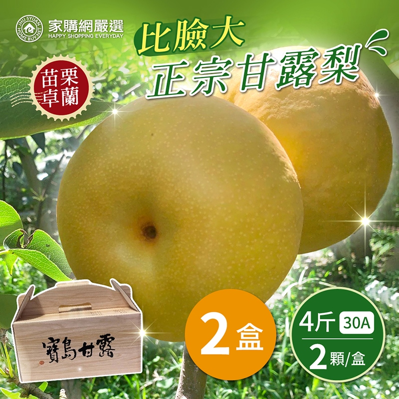 【家購網嚴選】比臉大 30A正宗甘露梨4斤X2盒(2顆/盒)