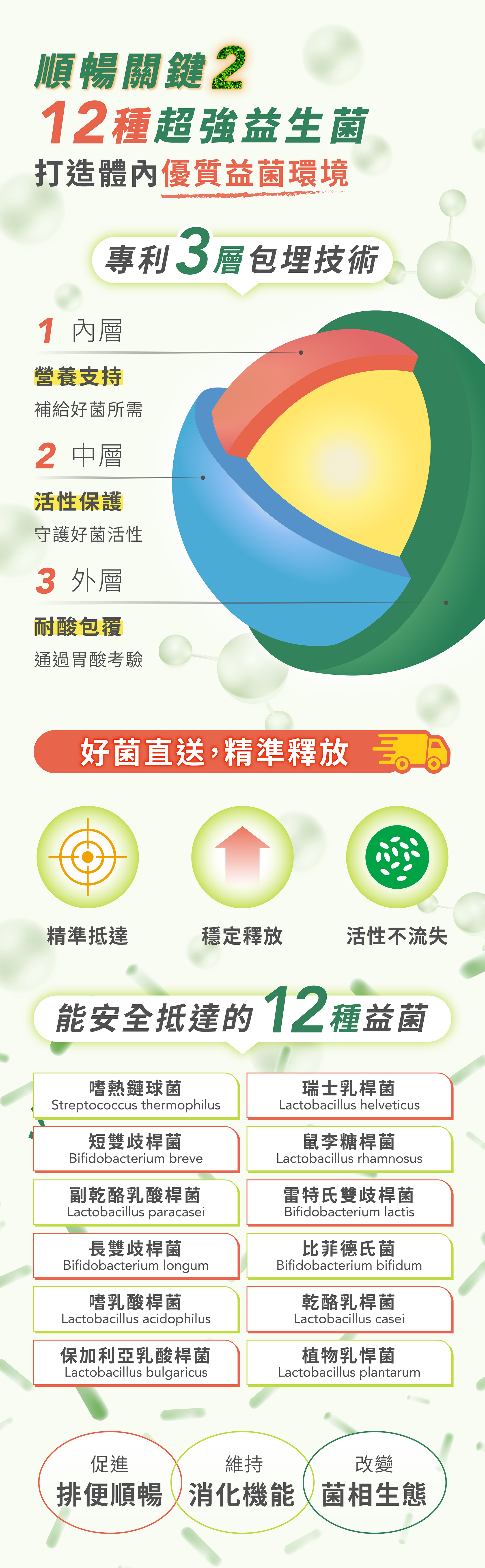 複合專利益生菌含乳酸菌與比菲德氏菌 幫助維持消化機能與排便順暢