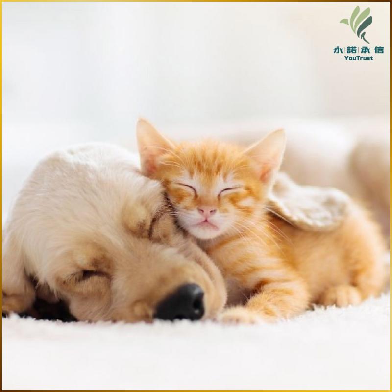 【永諾承信】永諾關懷計畫(MO25)