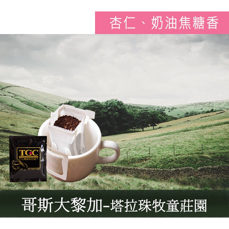 【TGC】塔拉珠牧童莊園 掛耳咖啡(50入)