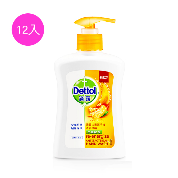 滴露Dettol 抗菌潔手液清新柑橘250mlx12入 (效期:2019.12)