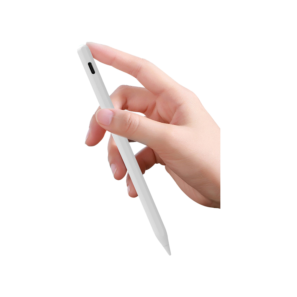 Stylus Pen C12 iPad 專用雙模充電觸控筆(Type-C+無線)