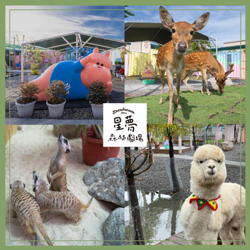 2026宜蘭星夢森林劇場門票 單人全票不分平假日(MO26)