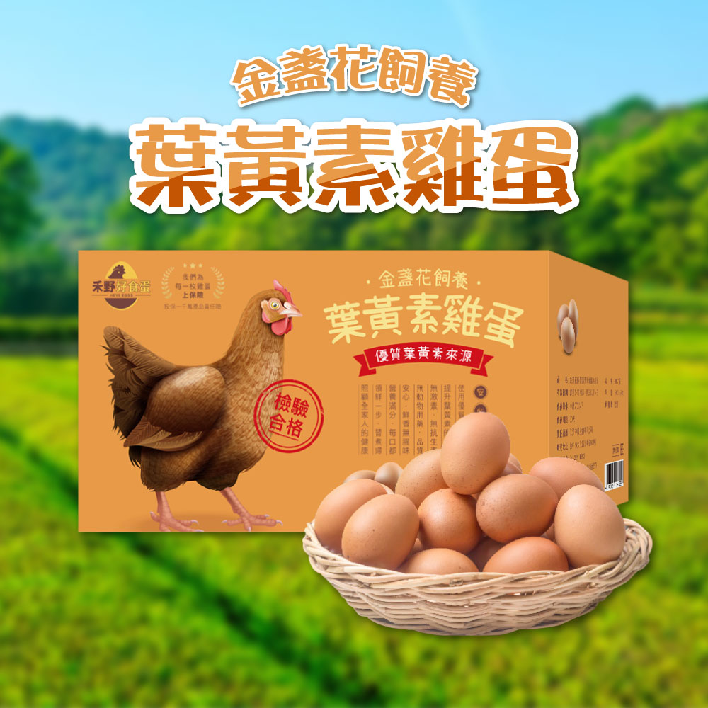 【禾野好食蛋】金盞花飼養葉黃素雞蛋30粒/箱(1800g±5%/箱)