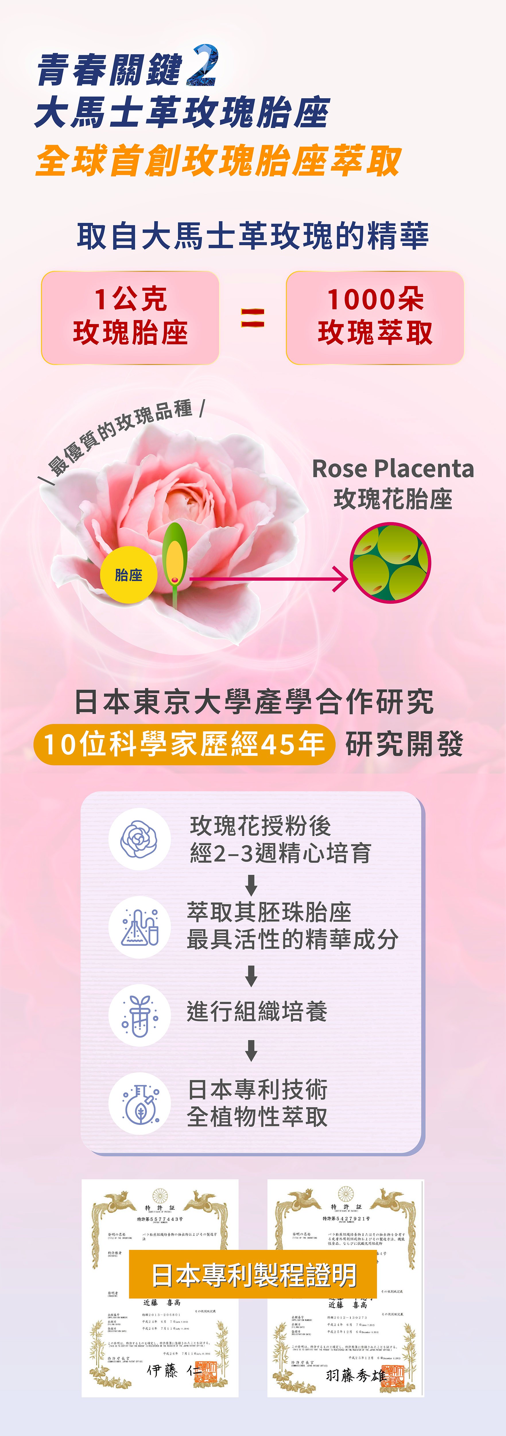 玫瑰胎座功效抗老逆齡推薦保健食品