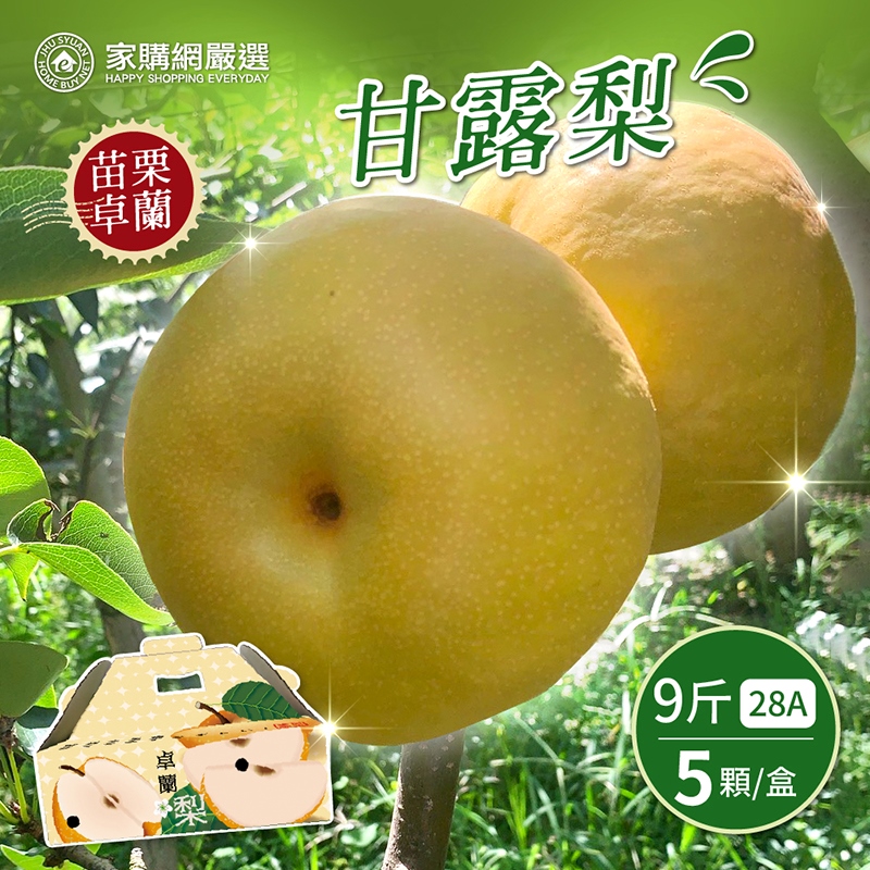 【家購網嚴選】28A甘露梨大禮盒9斤(5顆/盒)