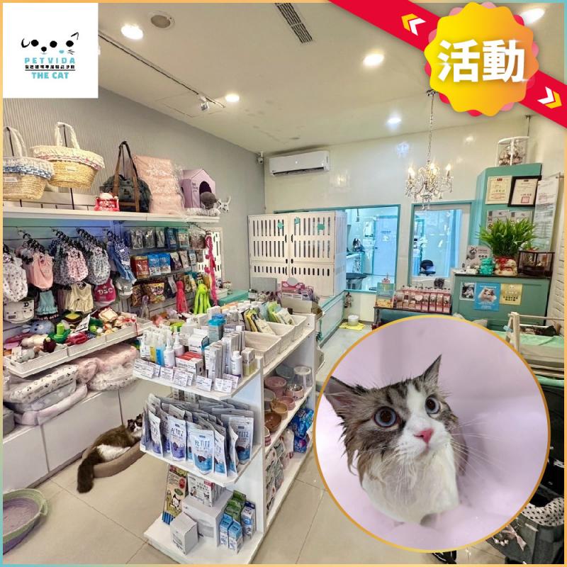 活動！台北【PetVida The Cat 薇達貓咪專屬精品沙龍】1000元商品&課程通用券加贈花舞碳酸泡泡浴 (MO)
