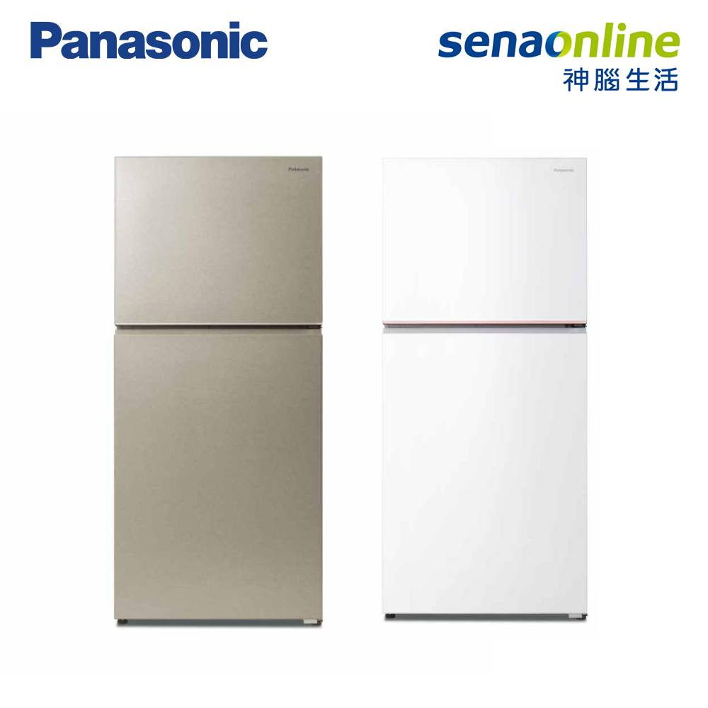 Panasonic 498L 雙門鋼板冰箱 NR-B496TV